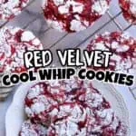 Red velvet cookies dusted with powdered sugar on a white plate and cooling rack.