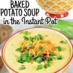 Loaded baked potato soup in decorative bowls with green onions and cheese.