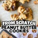 Close-up of homemade peanut butter chocolate chip cookies on a baking sheet.