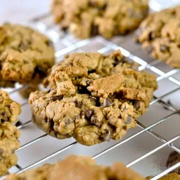 close up of cookie butter cookie with chocolate chips.