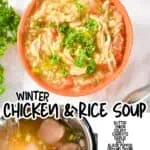Close-up of a bowl of chicken and rice soup garnished with parsley, with a second bowl nearby.