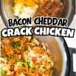 Bacon, cheddar, and shredded chicken in a slow cooker for crack chicken recipe.