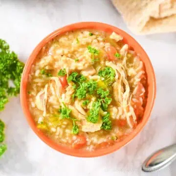 Close-up of chicken and rice soup garnished with parsley in a bowl.