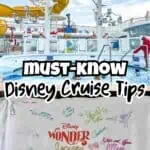 Colorful Disney Wonder cruise ship with water slides and signature signatures.