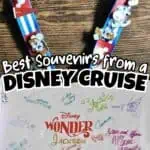 Disney Cruise souvenir lanyard with signatures and Disney characters.