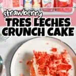 Slice of strawberry tres leches cake on a white plate with strawberry topping.