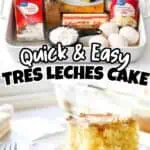 Ingredients for Tres Leches Cake with a slice on a plate.