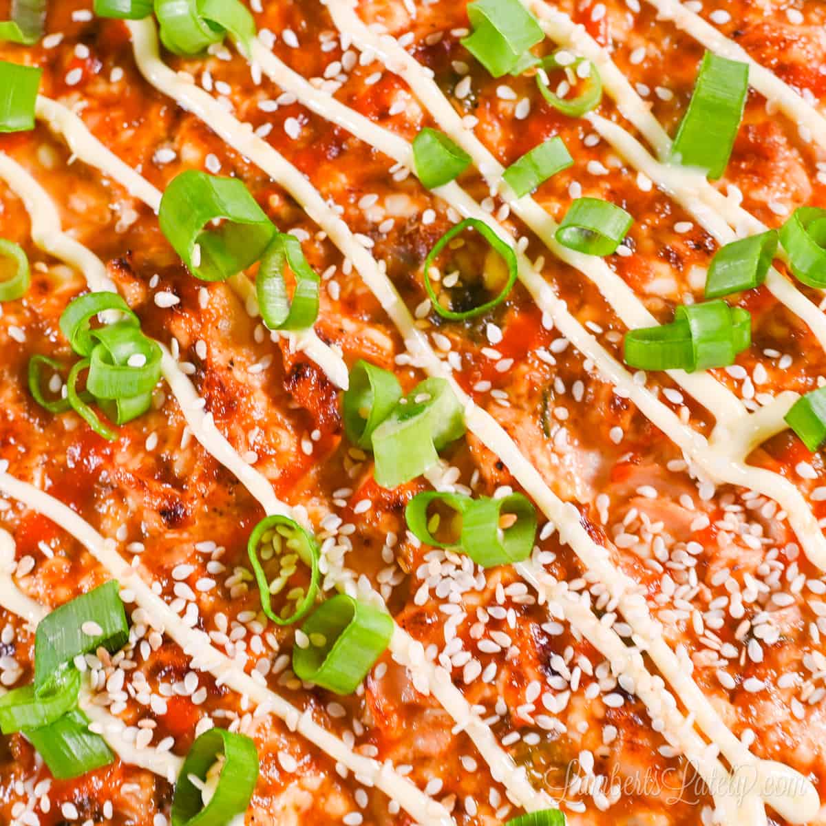 close up of salmon sushi bake covered in green onions.