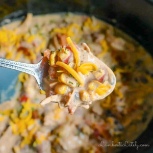 spoonful of crack chicken chili above a crock pot.