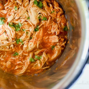 salsa chicken in an instant pot.