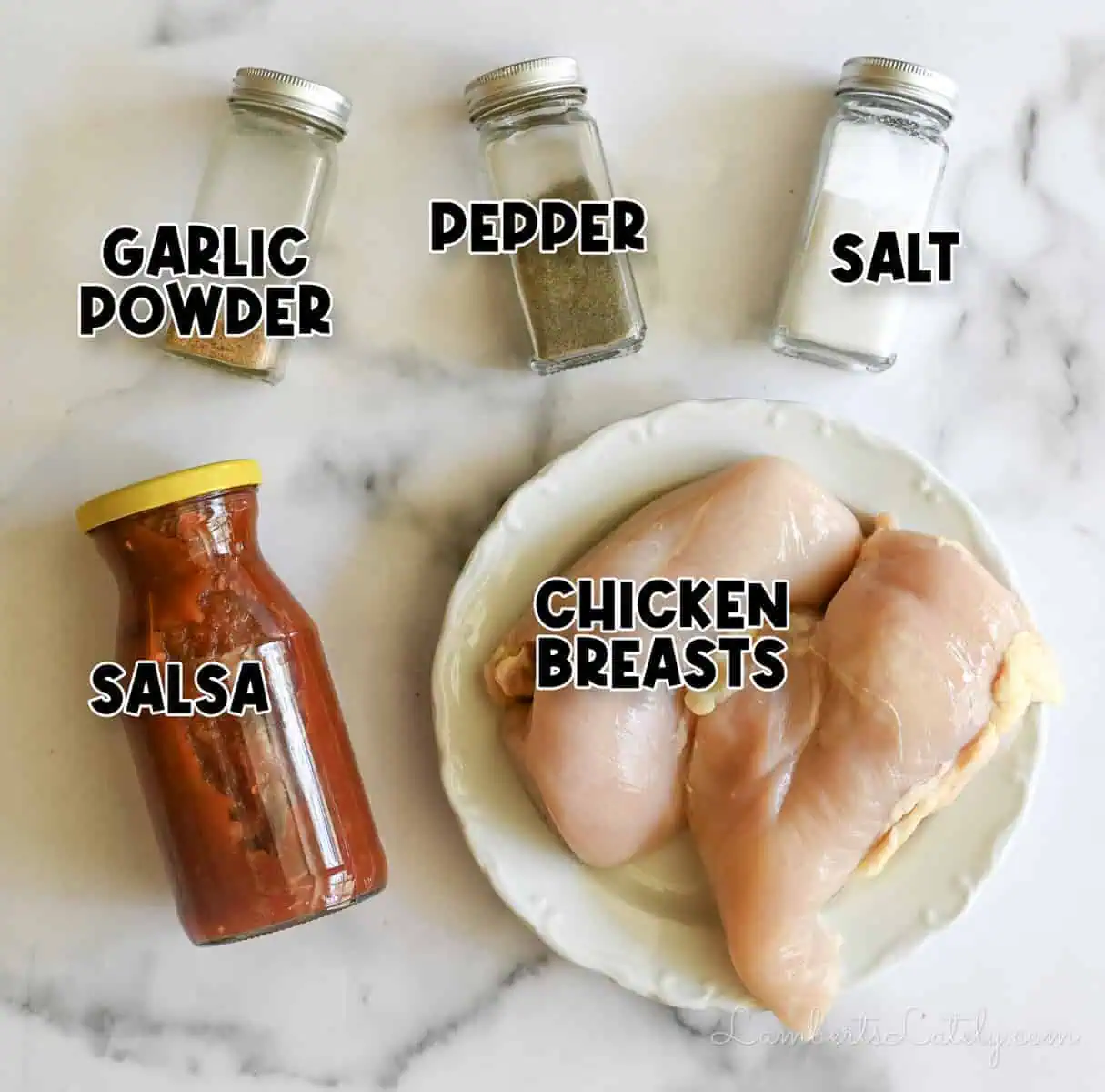 ingredients for salsa chicken.
