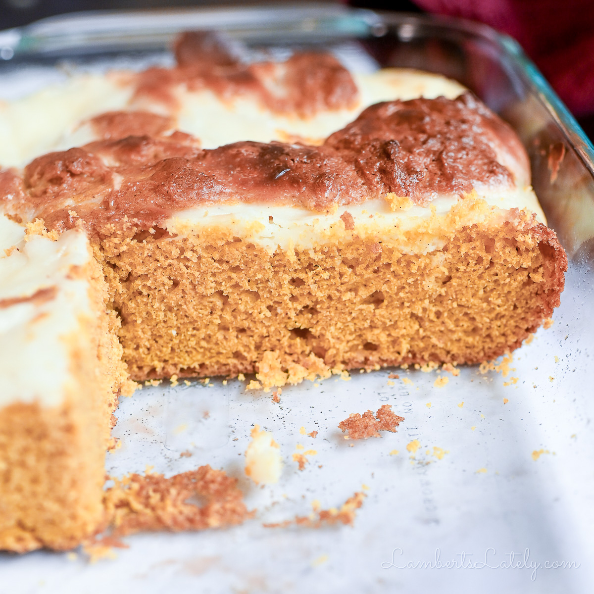 looking into a pan of cut pumpkin bars.