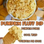 Creamy pumpkin fluff dip with pumpkin pie spice and vanilla pudding.