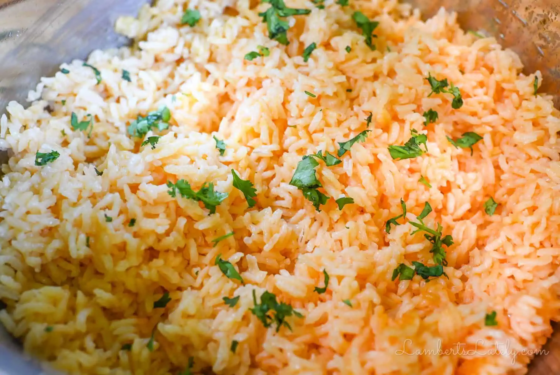 rice topped with cilantro.