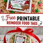 Reindeer food recipe and poem printable with festive design and colorful sprinkles.