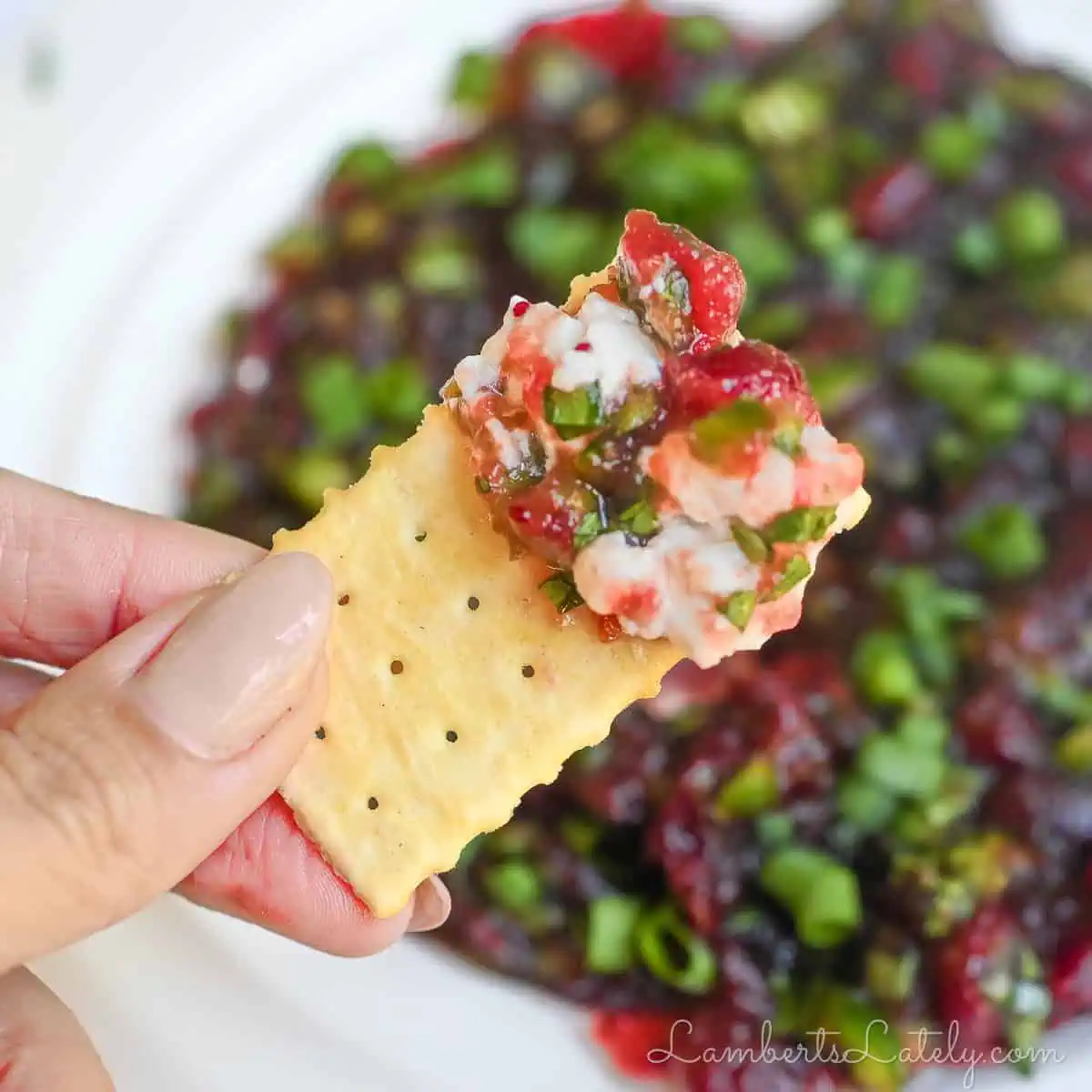 holding a cracker covered in cranberry jalapeno dip.