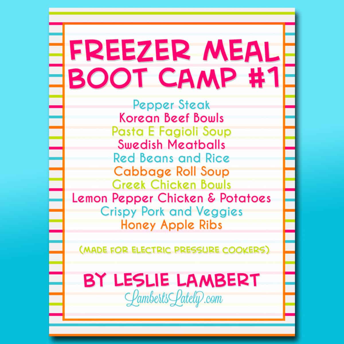 freezer meal boot camp #1 cover.