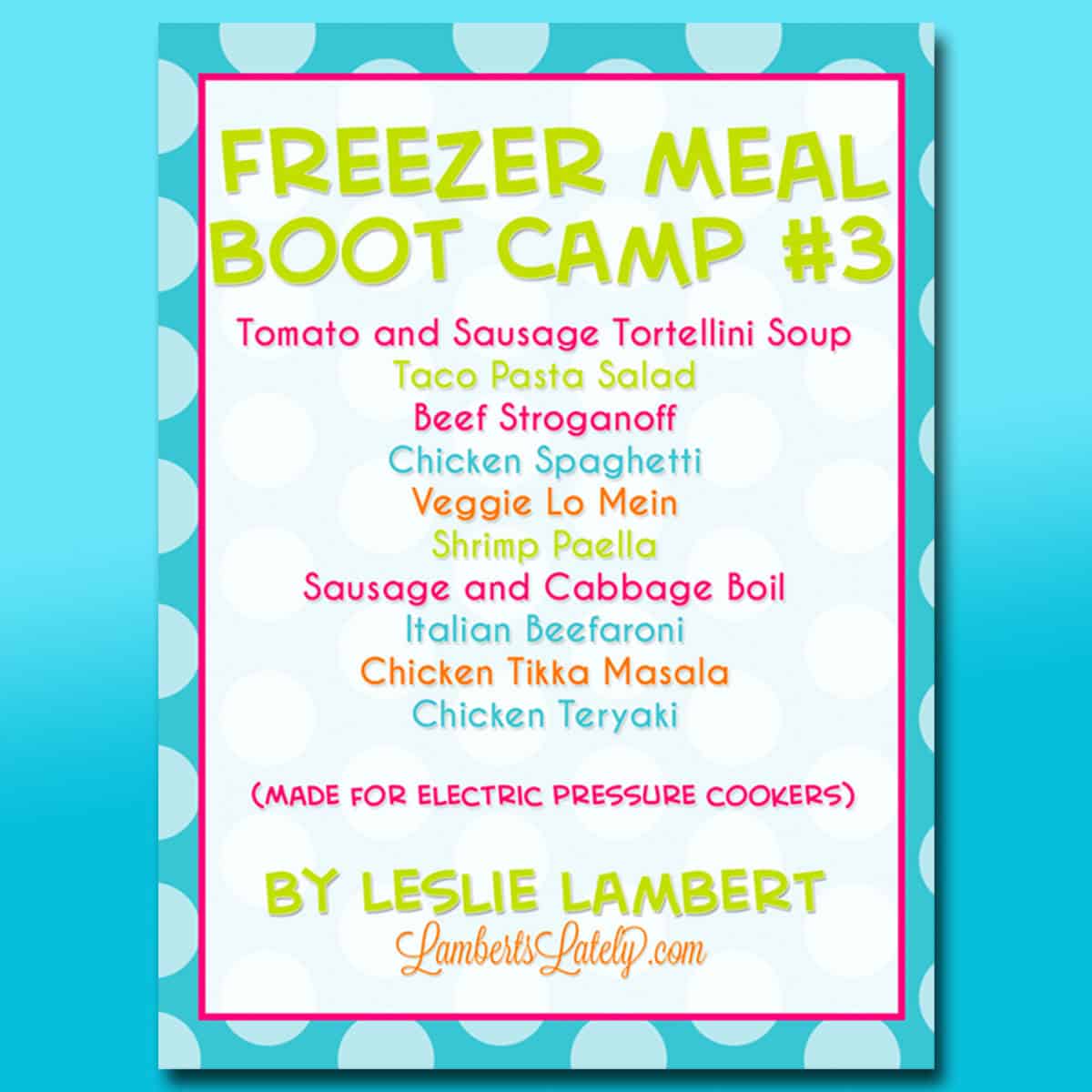freezer meal boot camp #3 cover.