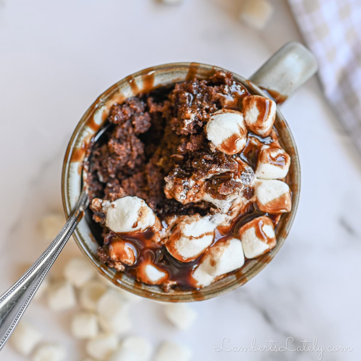Hot Chocolate Mug Cake [www.lambertslately.com]