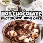 Delicious hot chocolate mug cake with marshmallows and chocolate chips.