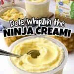 Pineapple Dole Whip in Ninja Creami with fresh pineapple and juice in background.