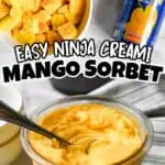 Close-up of mango sorbet in a glass with a can of mango juice in the background.