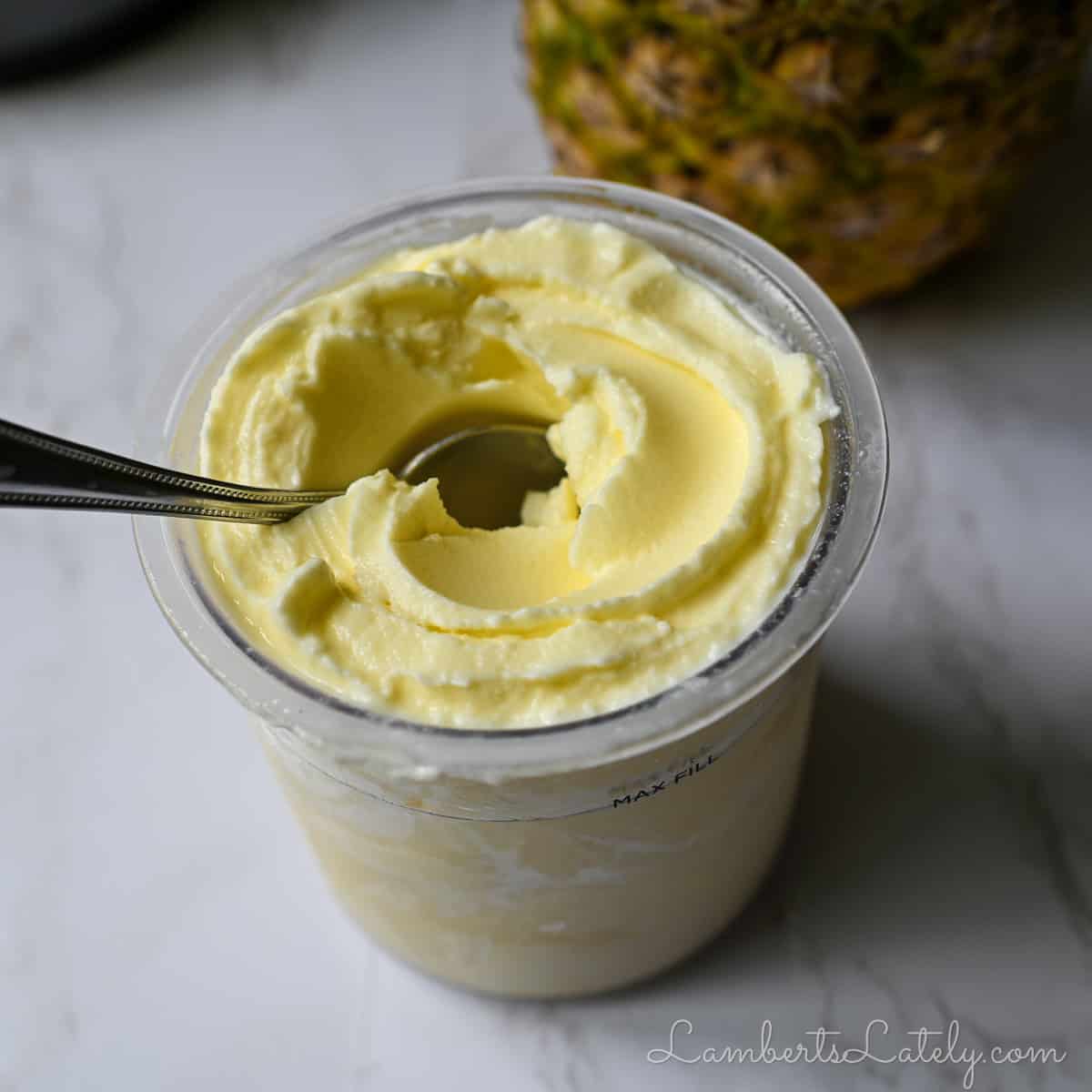 pineapple dole whip machine