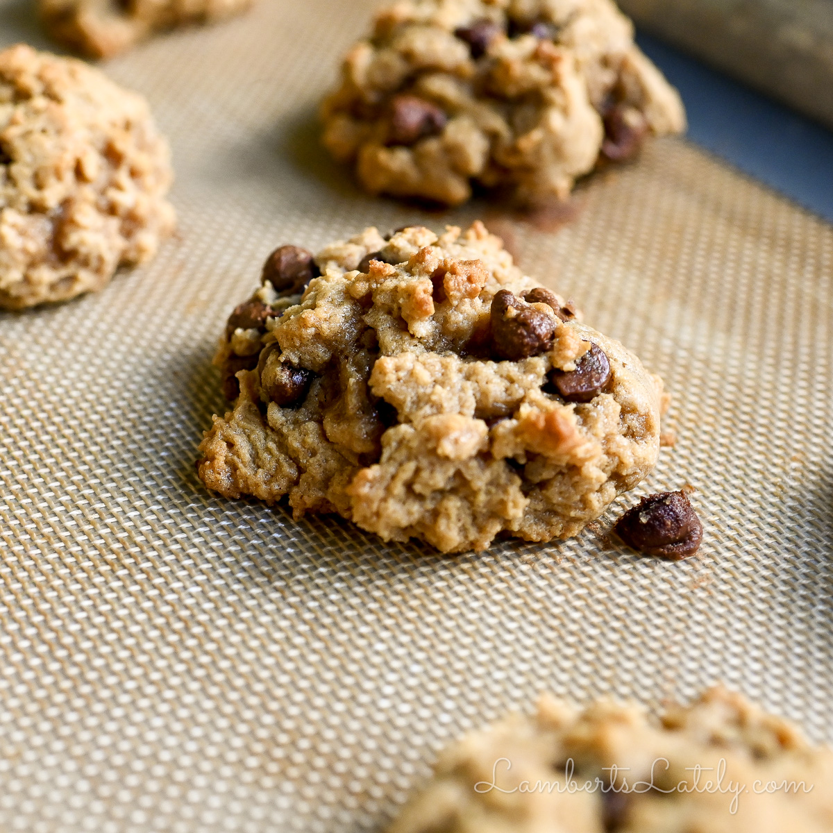 peanut butter chocolate chip cookie on a baking sheet.