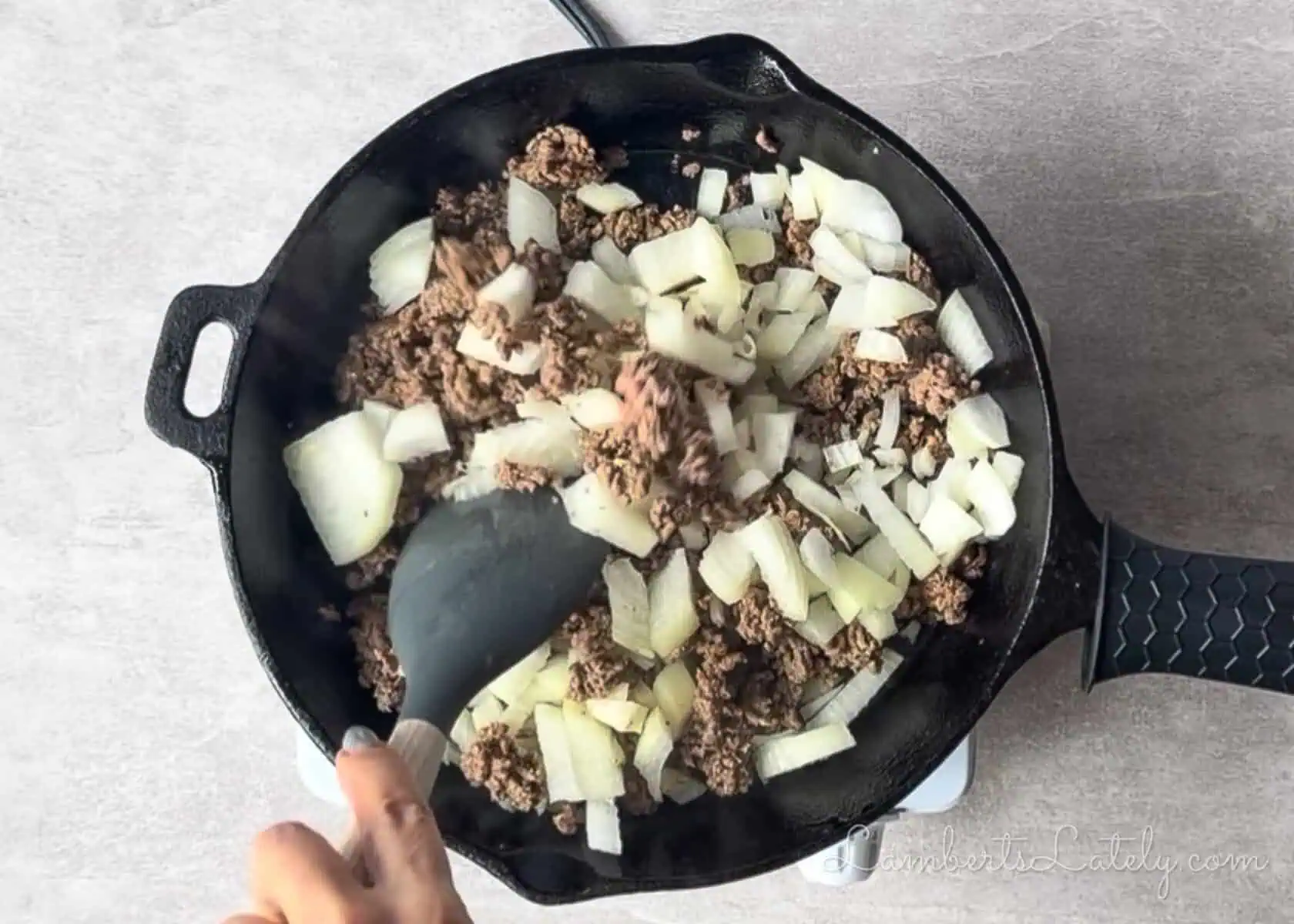 browning ground beef and onion in a cast iron skillet.
