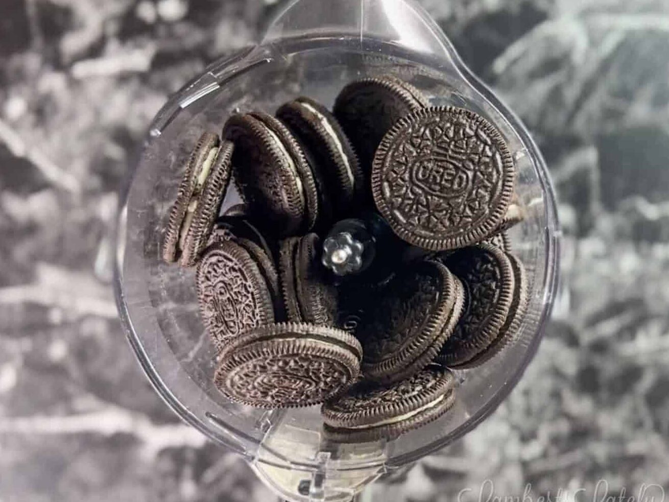 oreos in a food processor.