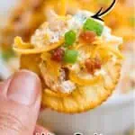 Loaded crack dip with bacon, cheddar, ranch, and green onions in a crispy chip.