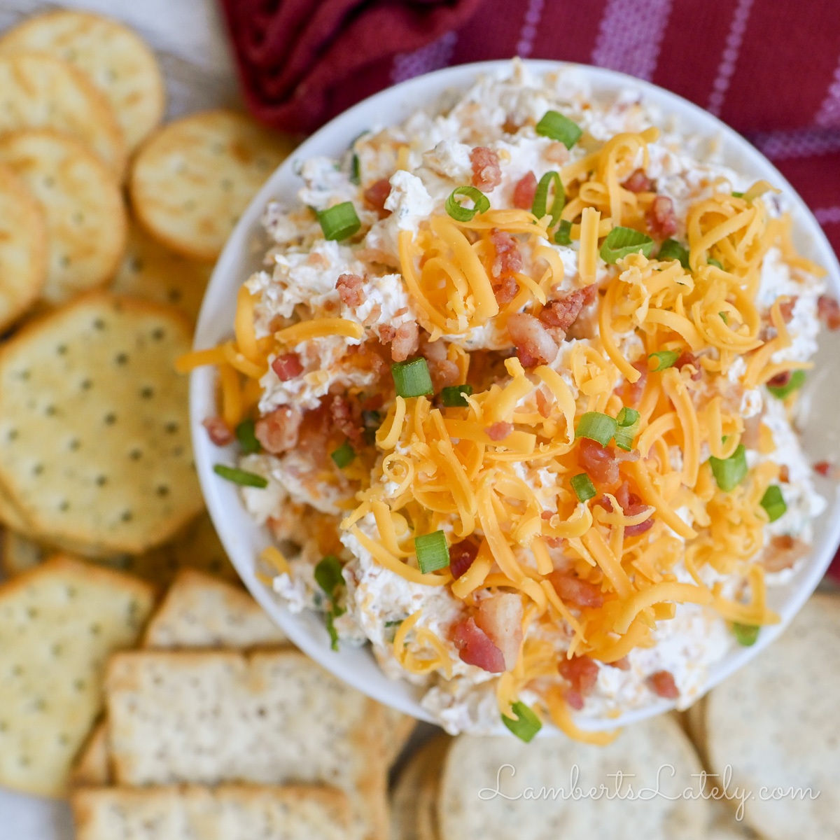 looking down on crack dip in a bowl, surrounded by crackers.
