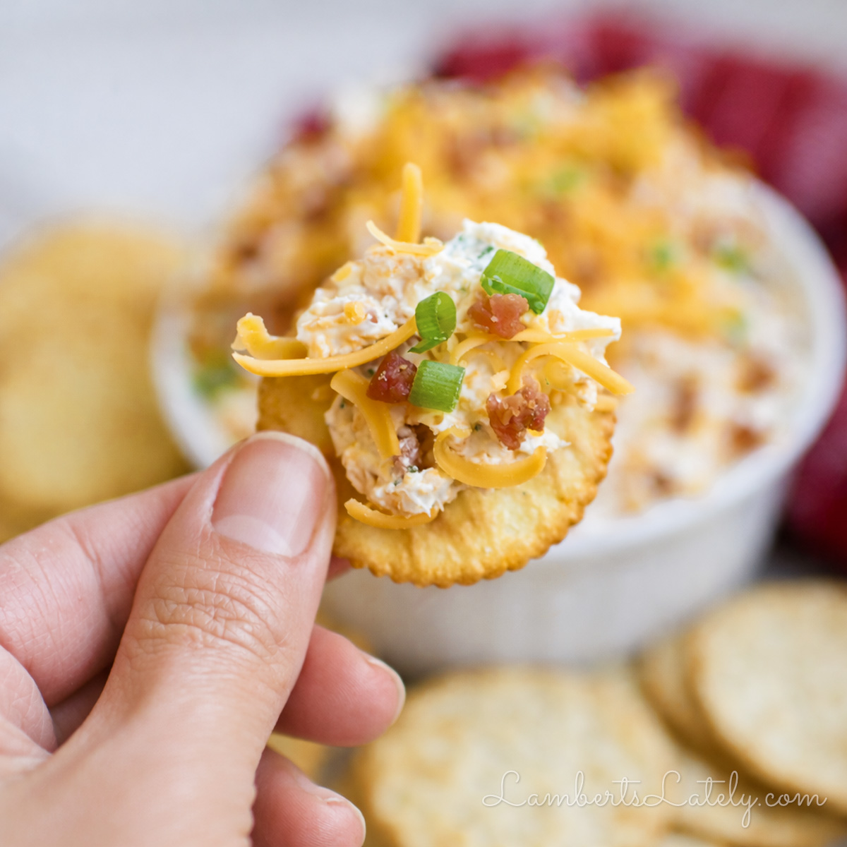 crack dip on a ritz cracker.