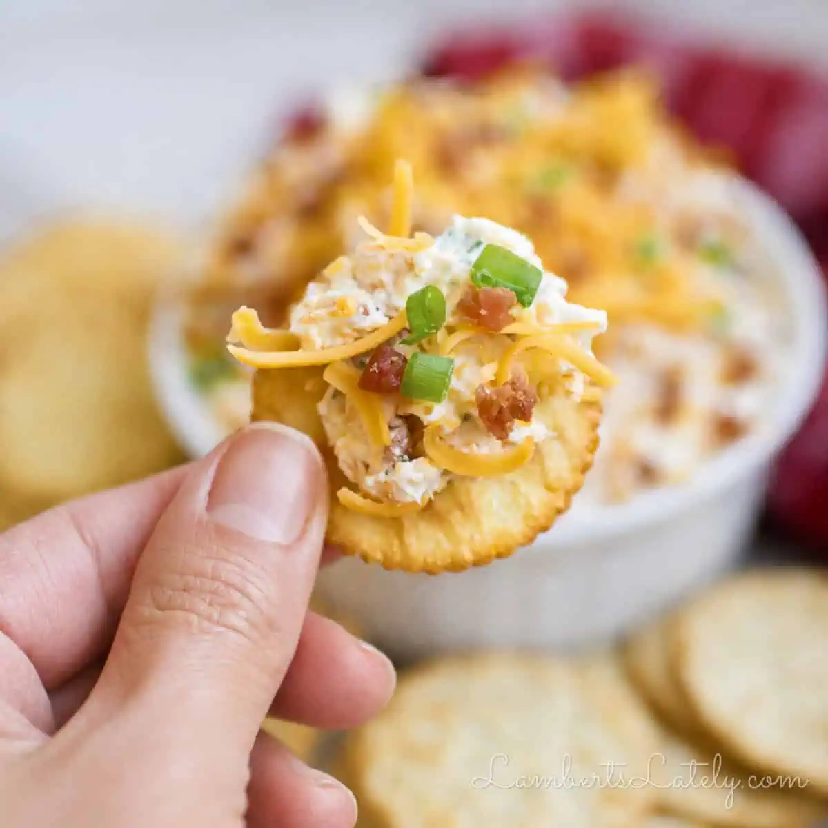 Close-up of a hand holding a scoop of crab dip with cheese and green onions.