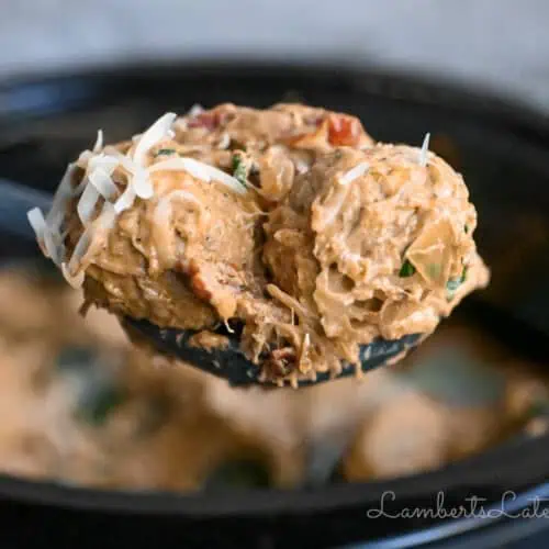 two chicken meatballs on a spoon, covered in a creamy tomato sauce and cheese, in front of a crock pot.