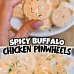 Close-up of a spicy buffalo chicken pinwheel held between fingers with more pinwheels on a plate in.