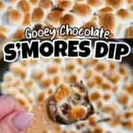 Close-up of gooey chocolate s'mores dip with toasted marshmallows and graham crackers.