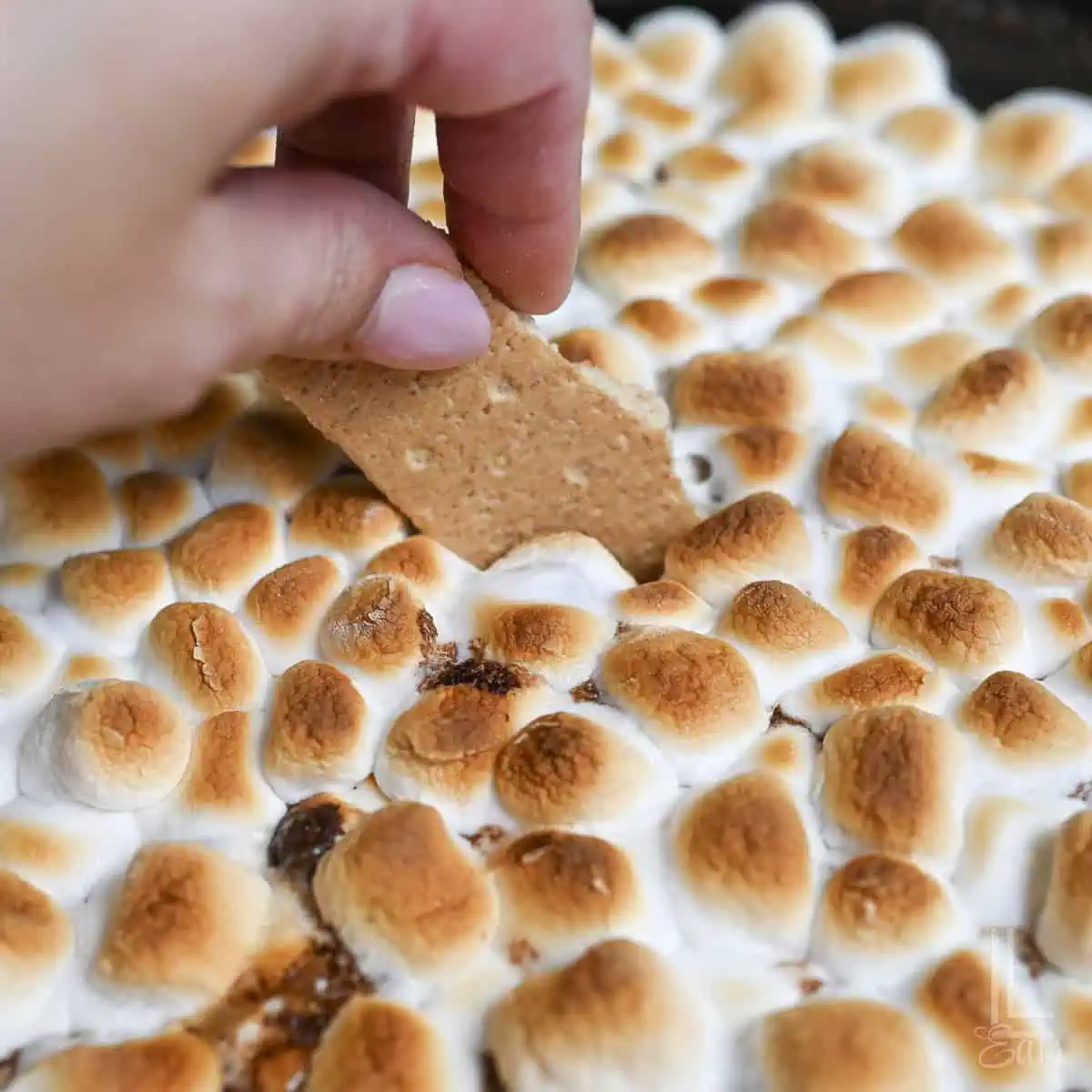 dipping a graham cracker into a smores dip topping with toasted marshmallows.