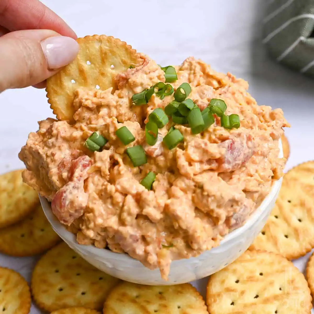 Creamy shrimp dip garnished with chopped green onions and served with crackers.