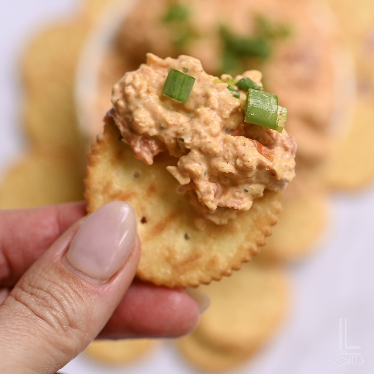 boat dip on a ritz cracker.