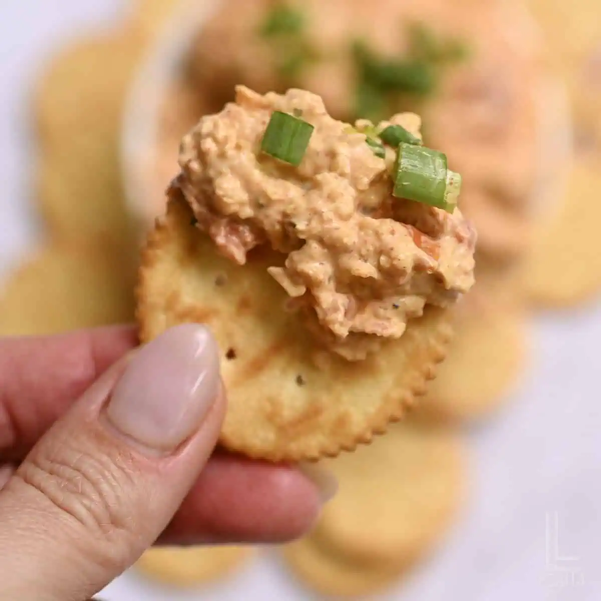 boat dip on a ritz cracker.