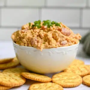 boat dip garnished with green onions in a bowl, surrounded by crackers.
