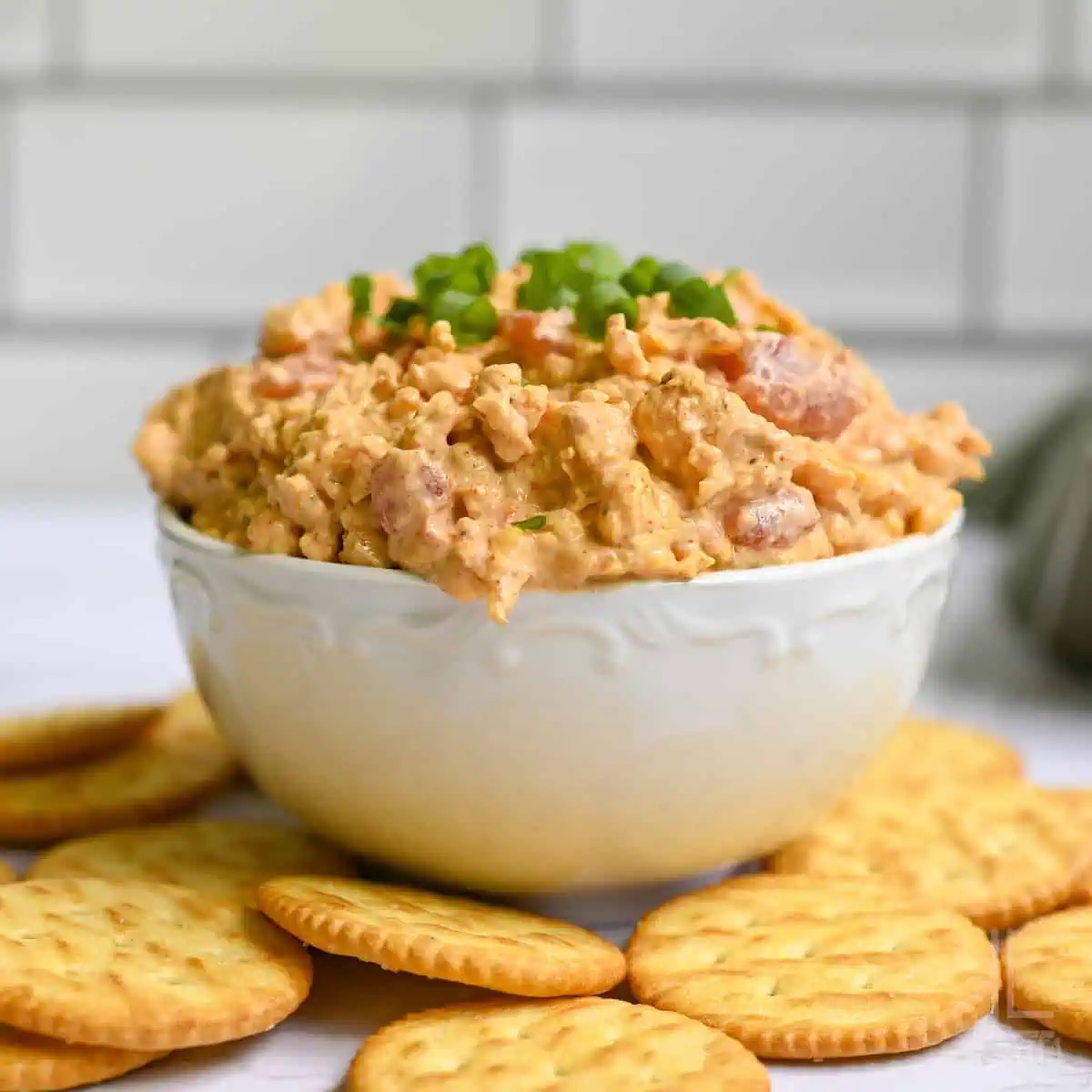 boat dip garnished with green onions in a bowl, surrounded by crackers.