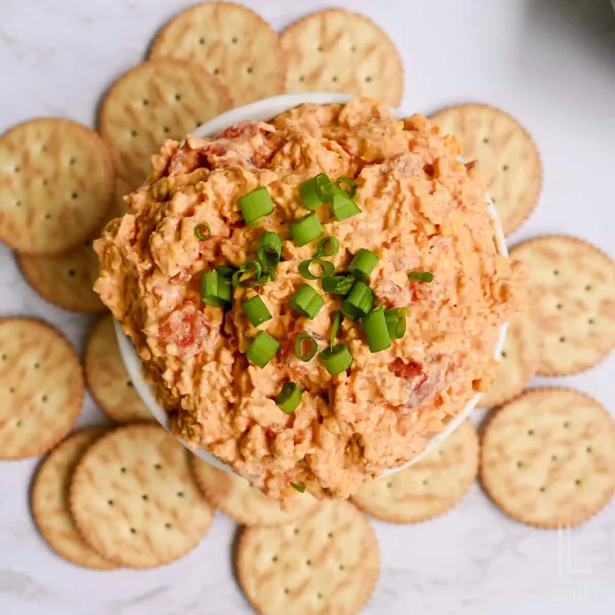 Creamy salmon dip garnished with chopped green onions, served with crackers.