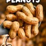 Close-up of boiled peanuts in a bowl with text overlay about pressure cooker method.