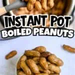 Close-up of cooked boiled peanuts in a white bowl with a spoonful above.