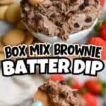 Close-up of brownie batter dip with chocolate chips and a cookie.