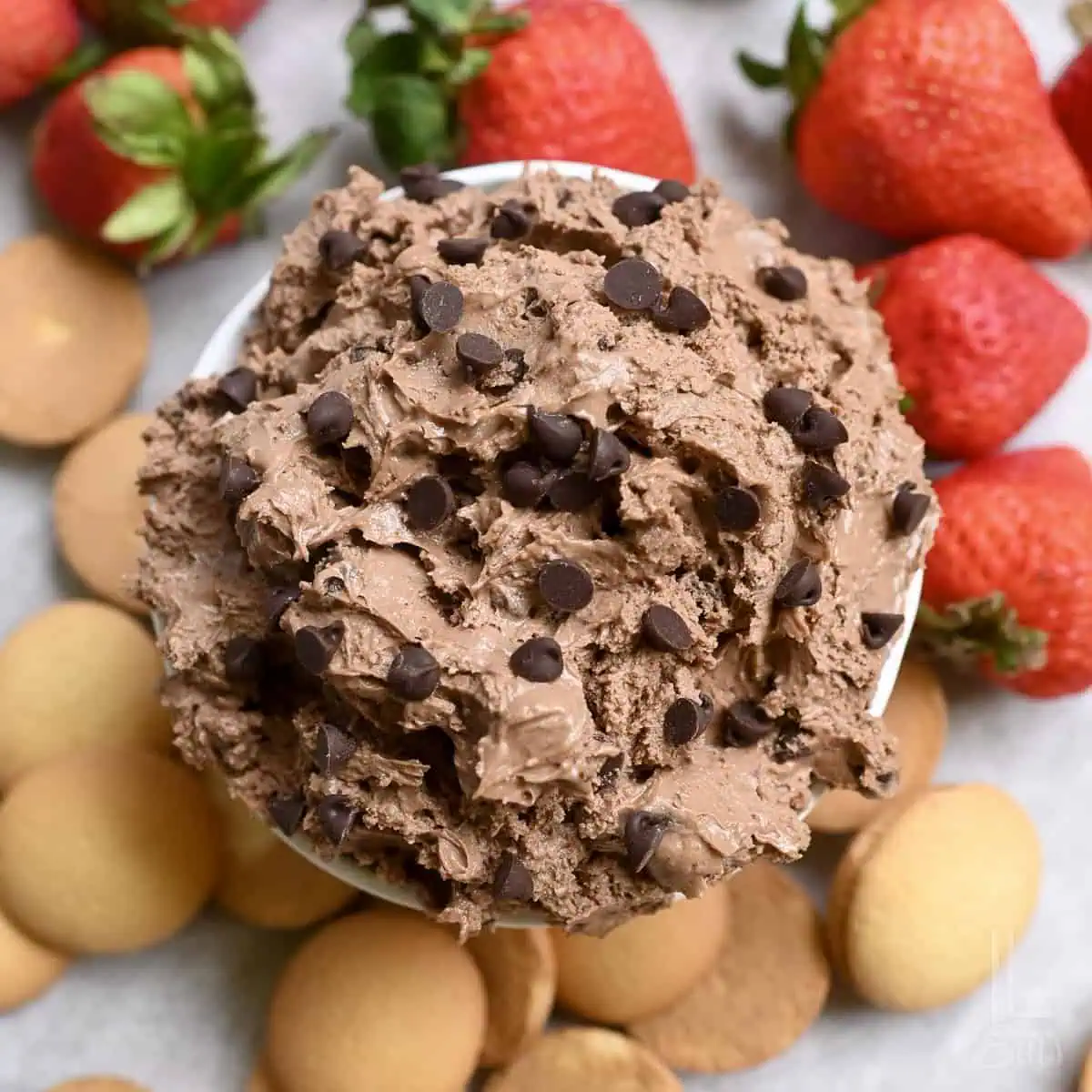 a bowl of brownie batter dip sprinkled with chocolate chips, surrounded by dippers like strawberries and vanilla wafers.