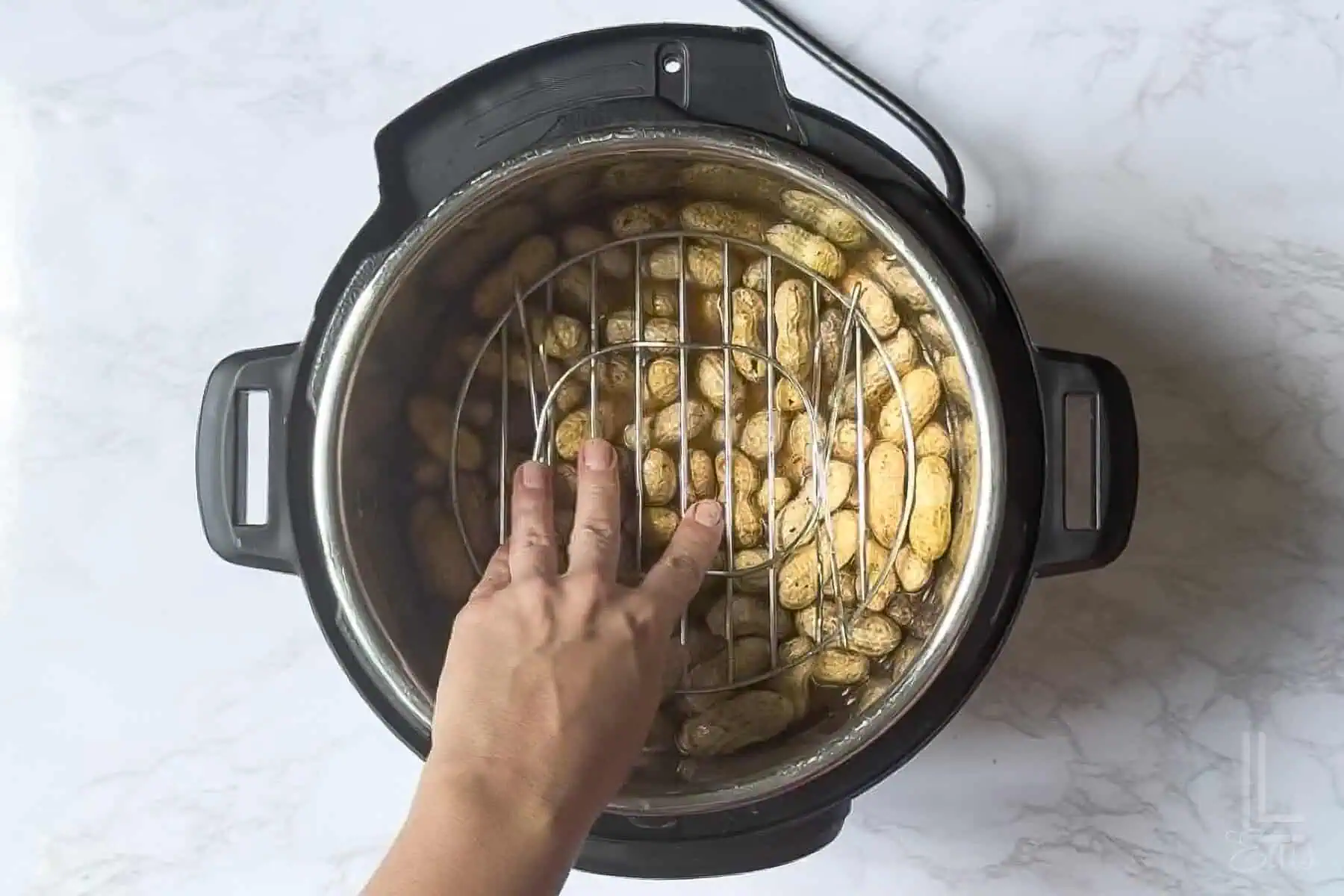 pressing a metal trivet into water and peanuts in an instant pot.