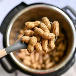 holding a spoonful of boiled peanuts above an instant pot.